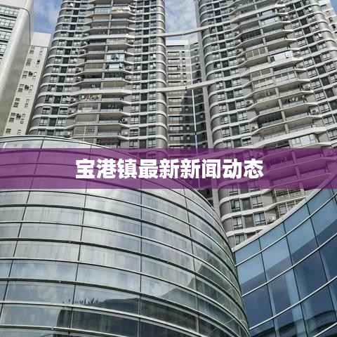 宝港镇最新新闻动态