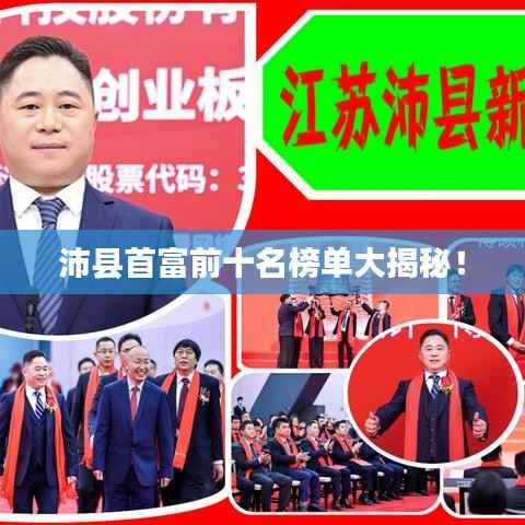 沛县首富前十名榜单大揭秘！